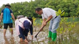 Petugas PLN Batam tanam ribuan pohon, Kamis (28/11). Foto:Humas