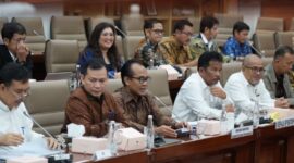 Kepala BP Batam Rudi saat RDP dengan DPR, Senin (2/12/2024). Foto:Humas BP