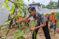 Kepala Seksi Kegiatan Kerja Lapas Batam, Heri Aguswanto bersama warga binaan melakukan panen raya kacang panjang hasil pembinaan kemandirian, Selasa (3/12/2024)  Matapedia6.com/Dok Lapas