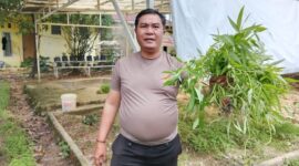 Kapolsek Sagulung Iptu Rohandi P Tam UNAN menunjukkan sayur Kangkung saat panen di pekarangan Polsek Sagulung, Sabtu (21/12/2024).Matapedia6.com/Dok Polsek