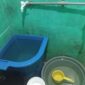 Kondisi air mati total di rumah warga Sagulung, Senin (2/12). Foto:matapedia
