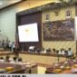 Suasana RDP Komisi II DPR bersama KPU, Bawaslu, dan DKPP membahas dan penetapan PKPU tentang Tahapan dan Jadwal Pemilihan Ulang Pilkada 2024 di Kompleks Parlemen, Senayan, Jakarta, Rabu (4/12/2024). Foto:Screenshot YouTube Komisi II