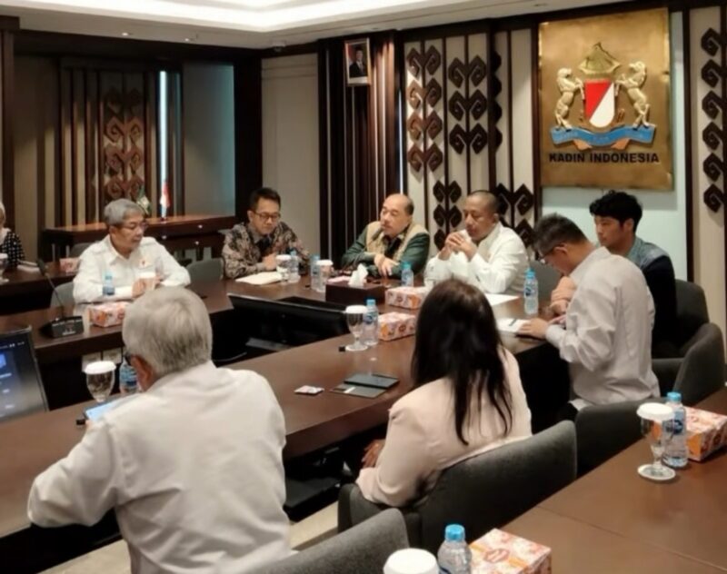 Wakil Ketua Umum (Waketum) Bidang Kawasan Ekonomi Khusus, Kawasan Industri, dan Proyek Strategis Nasional Akhmad Maruf Maulana tengah. Foto:Instagram Screenshot /Akhmad Ma'ruf