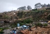 Kondisi lahan yang sudah dibersihkan dari puing bangunan di lokasi bekas kampung Tembesi Tower, Sagulung, Kota Batam, Provinsi Kepri, Minggu (12/1/2025). Matapedia6.co/Luci