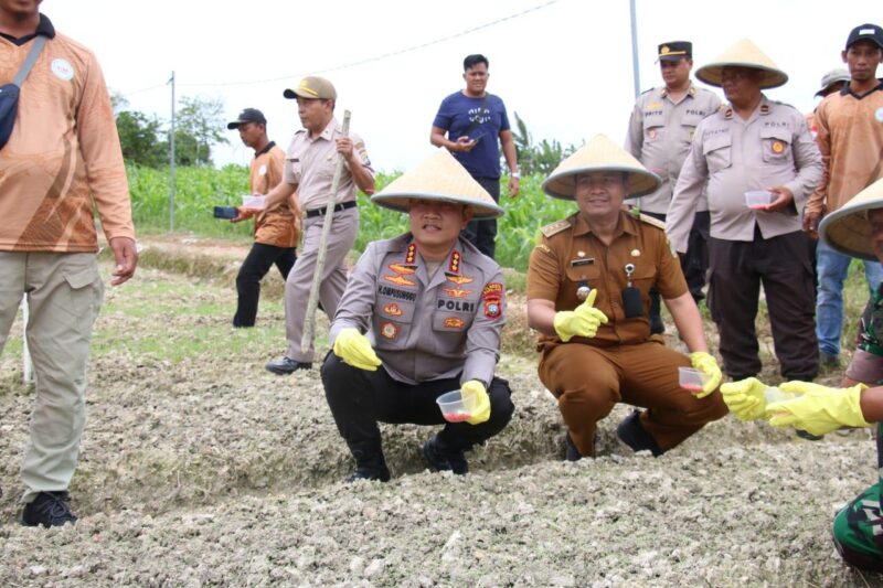 Kapolresta Barelang Kombes Pol Heribertus Ompusunggu menanam jagung di lahan yang dikelola oleh Polresta Barelang bersama kelompok tani di wilayah Sagulung, Selasa (21/1/2025). Matapedia6.com/ Dok Polresta Barelang