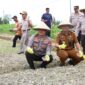 Kapolresta Barelang Kombes Pol Heribertus Ompusunggu menanam jagung di lahan yang dikelola oleh Polresta Barelang bersama kelompok tani di wilayah Sagulung, Selasa (21/1/2025). Matapedia6.com/ Dok Polresta Barelang