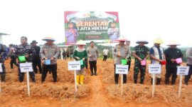 Kapolda Kepri Irjen Pol Yan Fitri Halimansyah bersama FKPD provinsi tanam jagung secara simbolis di lahan yang dikelola Polda Kepri di Teluk Mata Ikan Nongsa, Kota Batam, Selasa (21/1/2025). Matapedia6.com/Luci