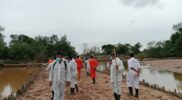 Tim terpadu penangkapan buaya yang dibentuk Pemko Batam saat melakukan penghitungan buaya di lokasi penangkaran di Pulau bulan, Kamis (23/1/2024). Matapedia6.com/Dok Danlantamal IV