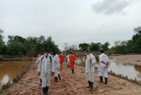 Tim terpadu penangkapan buaya yang dibentuk Pemko Batam saat melakukan penghitungan buaya di lokasi penangkaran di Pulau bulan, Kamis (23/1/2024). Matapedia6.com/Dok Danlantamal IV