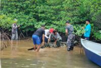 Tim terpadu penangkapan buaya saat menangkap buaya di perairan pulau Mengkada, Kota Batam Provinsi Kepri, Sabtu (25/1/2025). Matapedia6.com/ Dok Lantamal IV