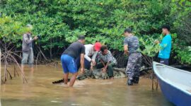 Tim terpadu penangkapan buaya saat menangkap buaya di perairan pulau Mengkada, Kota Batam Provinsi Kepri, Sabtu (25/1/2025). Matapedia6.com/ Dok Lantamal IV