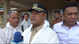 Ketua DPRD Kepri dan anggota DPRI RI saat meninjau penangkaran buaya di Pulau Bulan Batam, Jumat (31/1). Foto:Dok/Bangun