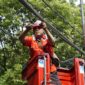Petugas saat merapikan kabel Telkom. Foto:Ist