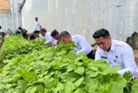 KPR Rutan Batam Aji dan Karutan tengah panen sayur, Rabu (19/2). Foto:Dok/Rutan