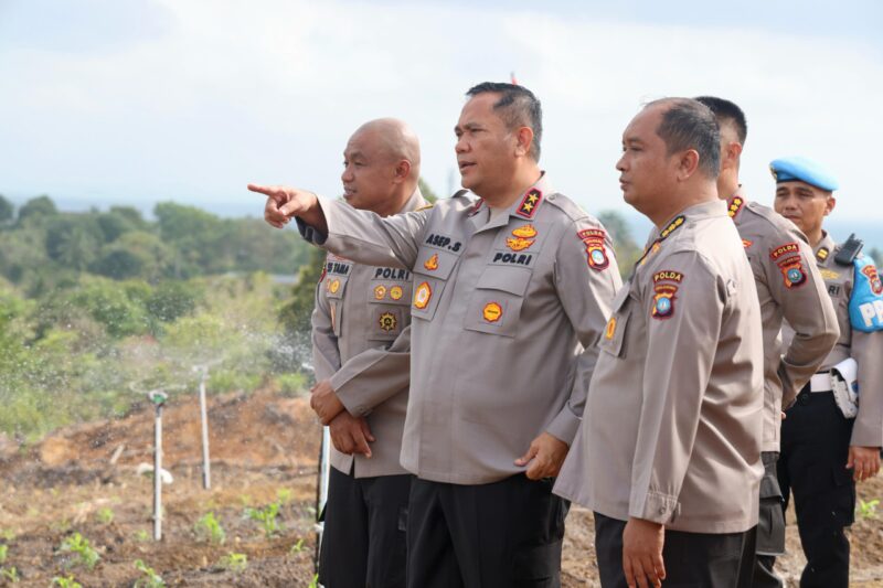 Kapolda Kepri Irjen Pol Asep Syafrudin saat meninjau lokasi lahan pertanian binaan Polda Kepri di Teluk Mata Ikan, Rabu (26/2/2025). Matapedia6.com/ Dok Humas Polda