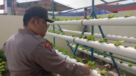 Anggota Polsek Bengkong saat meninjau tanaman hidroponik di belakang Polsek, Minggu (9/3/2025) Matapedia6.com/Dok Polresta