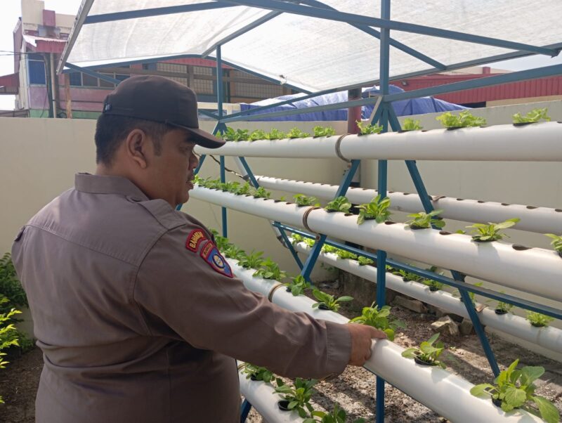 Anggota Polsek Bengkong saat meninjau tanaman hidroponik di belakang Polsek, Minggu (9/3/2025) Matapedia6.com/Dok Polresta