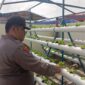 Anggota Polsek Bengkong saat meninjau tanaman hidroponik di belakang Polsek, Minggu (9/3/2025) Matapedia6.com/Dok Polresta