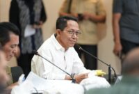 Kepala BP Batam Amsakar Achmad. Foto:Humas