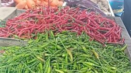 Cabai merah yang dipajang pedagang di lapaknya di salah satu pasar yang ada di Kota Batam, Kamis (13/3/2025). Matapedia 6.com/Luci