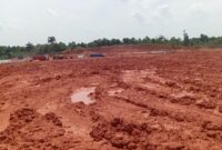 Salah satu lahan yang dulunya lahan hijau berubah fungsi jadi perumahan di Kota Batam, Minggu (23/3/2025) Matapedia6.com/Luci