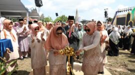 Wali Kota Batam Amsakar Achmad tengah. Foto:Dok/MC