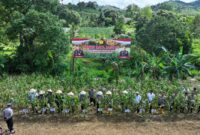 Kapolda Irjen Pol Asep Syafrudin bersama pejabat Utama Polda Kepri saat melakukan panen jagung di Tembesi binaan Sat Brimob Polda Kepri, Rabu (9/4/2025). Matapedia6.com/Dok Humas Polda