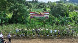 Kapolda Irjen Pol Asep Syafrudin bersama pejabat Utama Polda Kepri saat melakukan panen jagung di Tembesi binaan Sat Brimob Polda Kepri, Rabu (9/4/2025). Matapedia6.com/Dok Humas Polda