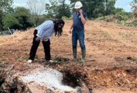 Ariastuty Sirait, Deputi Pelayanan Umum BP Batam, Jumat (11/4/2025). Foto:Dok/Ist