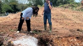 Ariastuty Sirait, Deputi Pelayanan Umum BP Batam, Jumat (11/4/2025). Foto:Dok/Ist