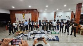 Petugas Bea Cukai melihatkan benih lobster. Foto:dok/ist