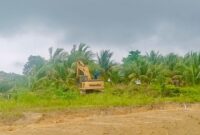 Alat berat menertibkan lahan di Tanjung Banon. Foto:dok/Humas BP Batam