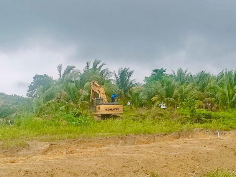 Alat berat menertibkan lahan di Tanjung Banon. Foto:dok/Humas BP Batam