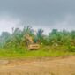 Alat berat menertibkan lahan di Tanjung Banon. Foto:dok/Humas BP Batam