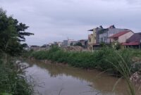 Kondisi tanah timbunan yang sudah ditumbuhi rumput dan mengakibatkan penyempitan badan sungai, Rabu (14/5/2025). Matapedia6.com/ Dok Warga