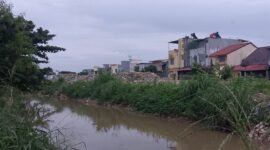 Kondisi tanah timbunan yang sudah ditumbuhi rumput dan mengakibatkan penyempitan badan sungai, Rabu (14/5/2025). Matapedia6.com/ Dok Warga