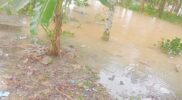 Hujan deras yang mengguyur Kota Batam khususnya di daerah Sagulung mengakibatkan air meluap di daerah kampung tua Sungai binti Sagulung, Minggu (18/5/2025). Matapedia6.com/Istimewa
