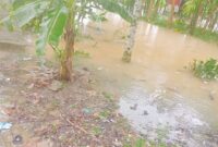 Hujan deras yang mengguyur Kota Batam khususnya di daerah Sagulung mengakibatkan air meluap di daerah kampung tua Sungai binti Sagulung, Minggu (18/5/2025). Matapedia6.com/Istimewa