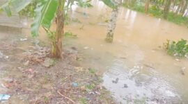 Hujan deras yang mengguyur Kota Batam khususnya di daerah Sagulung mengakibatkan air meluap di daerah kampung tua Sungai binti Sagulung, Minggu (18/5/2025). Matapedia6.com/Istimewa