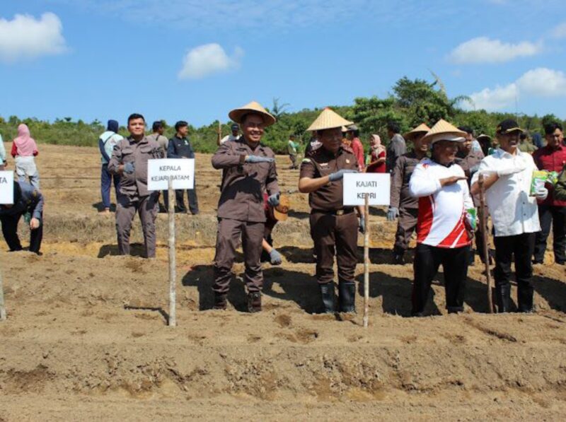 Kejari Batam dan Kejati Kepri tanam jagung di Rempang, Rabu (28/5). Foto:Istimewa