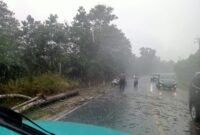 Kondisi jalan wisata bahari setelah pohontumbang berhasil dibersihkan kepolisian dan warga setempat, Kamis (28/5/2025). Matapedia6.com/Dok Humas Polsek Gunung Kijang