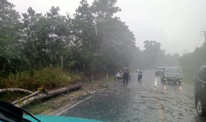 Kondisi jalan wisata bahari setelah pohontumbang berhasil dibersihkan kepolisian dan warga setempat, Kamis (28/5/2025). Matapedia6.com/Dok Humas Polsek Gunung Kijang