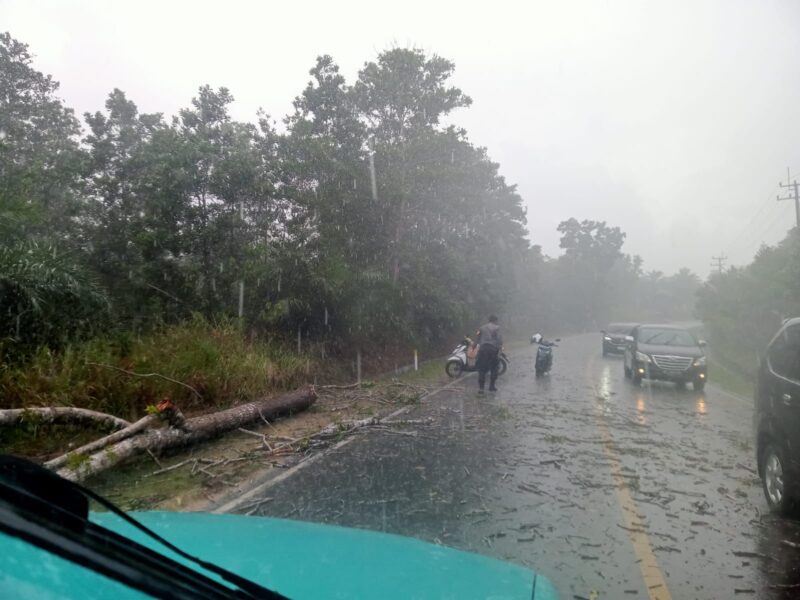 Kondisi jalan wisata bahari setelah pohontumbang berhasil dibersihkan kepolisian dan warga setempat, Kamis (28/5/2025). Matapedia6.com/Dok Humas Polsek Gunung Kijang
