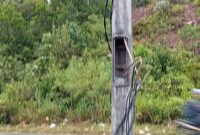 Kabel lampu jalan di daerah Tanjunguncang semrawut, kondisi lampu jalan sudah lama tidak berfungsi dan sebagian kondisinya rusak, Jumat (30/5/2025).Matapedia6.com/Luci