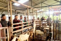 Panitia kurban IKPK Batam. Foto:dok/Amri