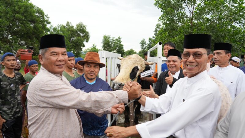Kepala BP Batam sekaligus Wali Kota Batam Amsakar bersama Kemenag Batam Budi Dermawan saat menyerahkan sapi kurban dari Presiden Prabowo, Jumat (6/6). Foto;Humas BP Batam