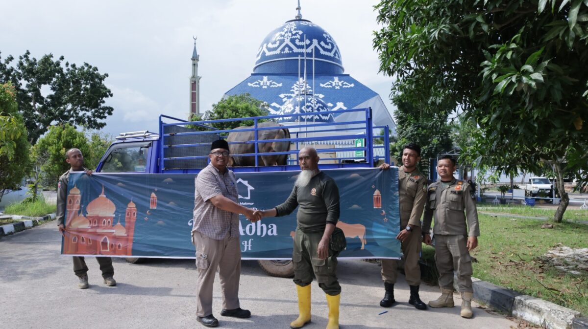 Panbil Group menyerahkan hewan kurban kepada masyarakat Batam beberapa hari lalu. Foto:Ist