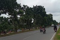 Kondisi u-turn di depan Mako Satpol PP Kota Batam yang selama ini banyak pengendara yang melawan arus dan sangat riskan terjadi kecelakaan, Kamis (19/6/2025). Matapedia6.com/Luci