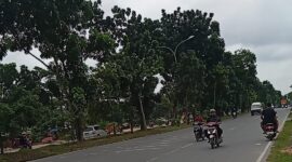 Kondisi u-turn di depan Mako Satpol PP Kota Batam yang selama ini banyak pengendara yang melawan arus dan sangat riskan terjadi kecelakaan, Kamis (19/6/2025). Matapedia6.com/Luci