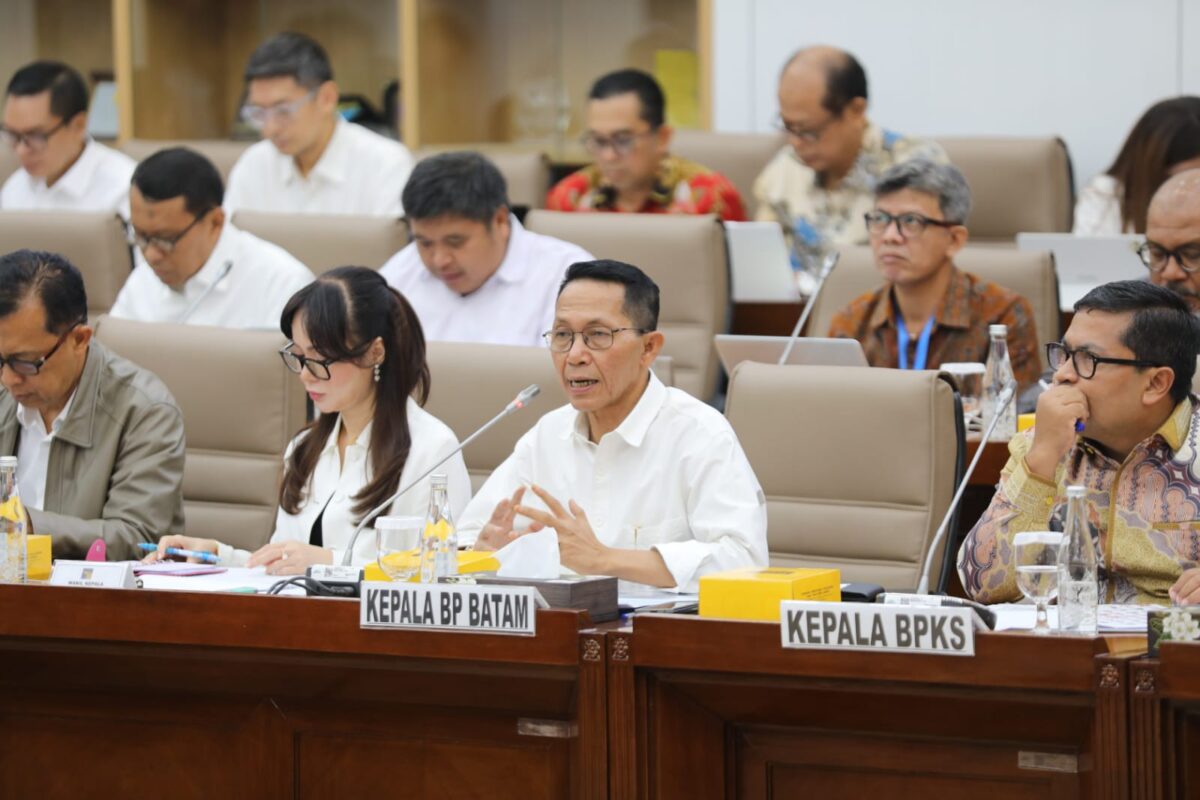 Wali Kota Batam dan Juga Kepala BP Batam Amsakar Achmad dan Wakil Wali Kota Batam Li Claudia RDP dengan DPR. Foto:Humas BP